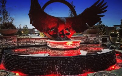 Largest Bronze Eagle in California Ready for Flight