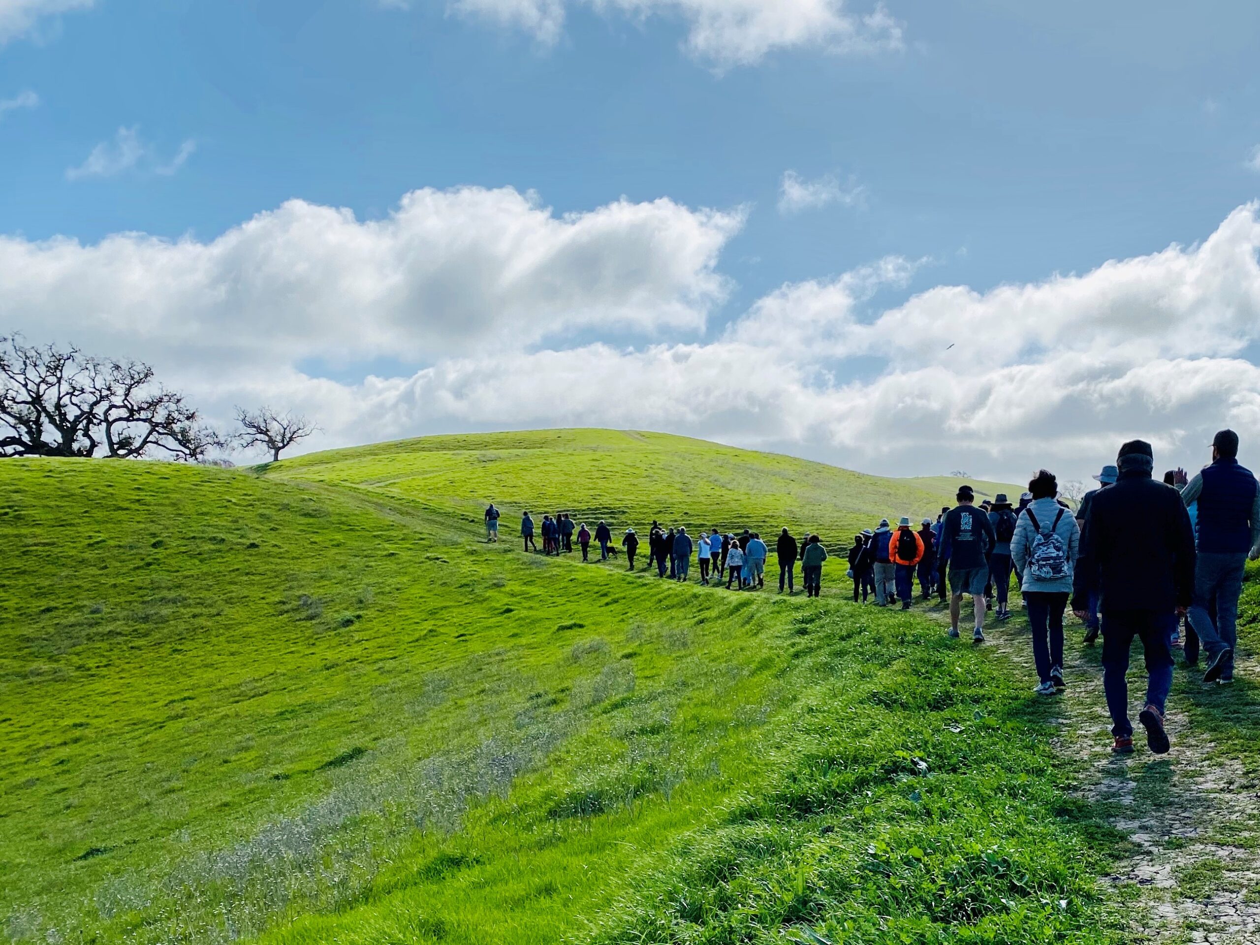 A Hiker’s Dream – 381 Acres of Open Space